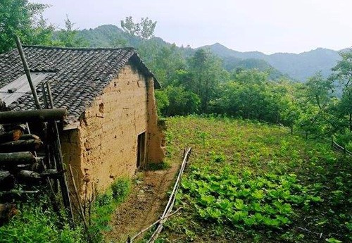 2020年完成200万贫困户光伏项目建设